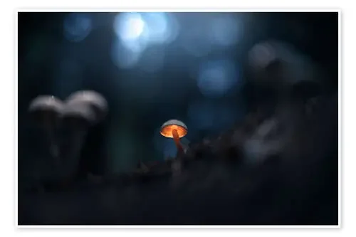 Small glowing mushroom de Christian Möhrle