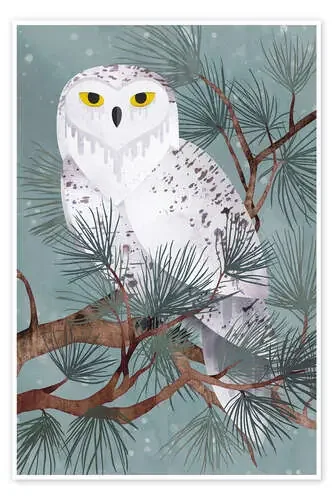 Snowy de littleclyde