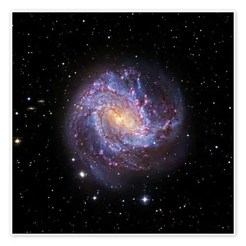 Southern Pinwheel Galaxy, Hubble image de Robert Gendler Science Photo Library