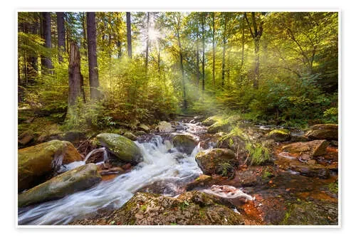 Spirit Garden de Dave Derbis