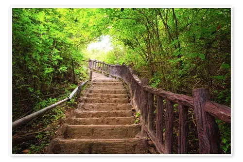 Stairway to forest, Erawan national park Editors Choice