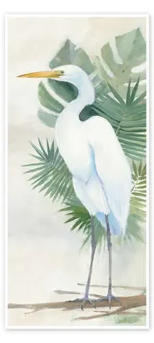 Standing Egret II de Avery Tillmon Wild Apple Graphics