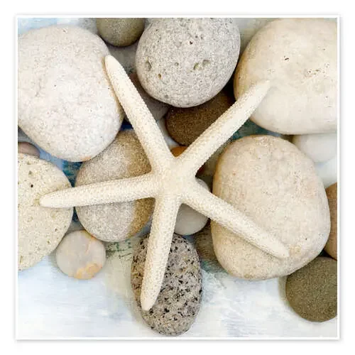 Starfish de Andrea Haase Foto