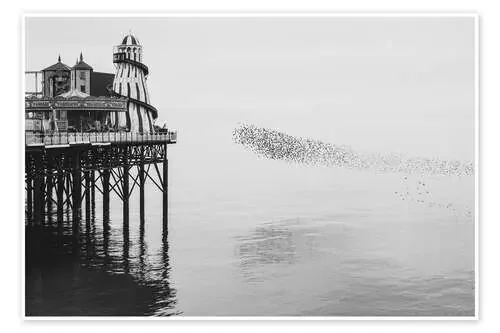 Starling Murmuration at the Brighton Palace, UK de Nadia Isakova Robert Harding