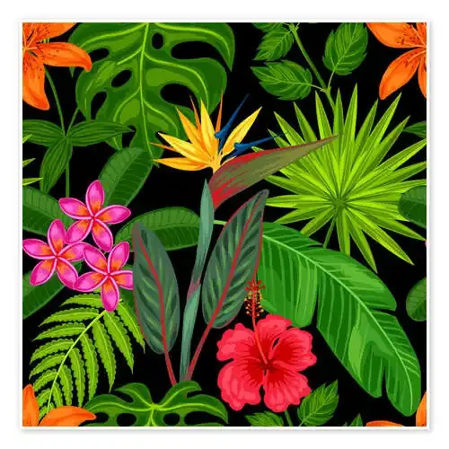Strelitzia Editors Choice