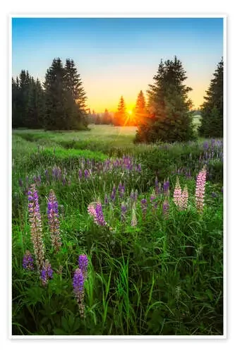 Summer evening in the Ore Mountains de Moqui, Daniela Beyer