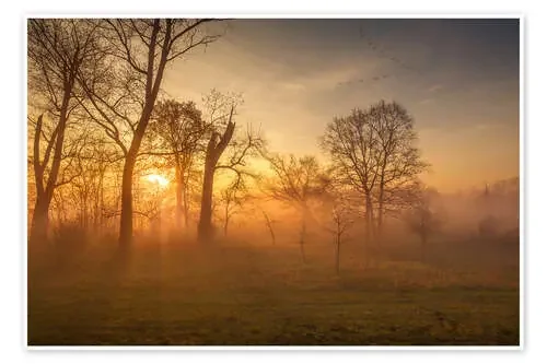 Sunrise de Wanderkollektiv