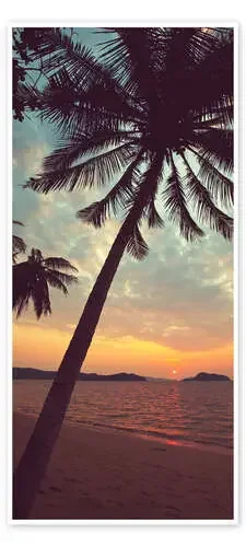 Sunset on the Palm Beach Editors Choice