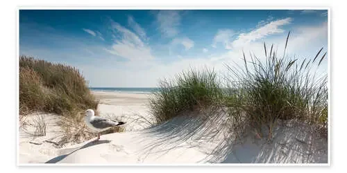 Sylt, duna y gaviota de Reiner Würz
