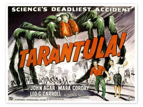 Tarantula Everett Collection