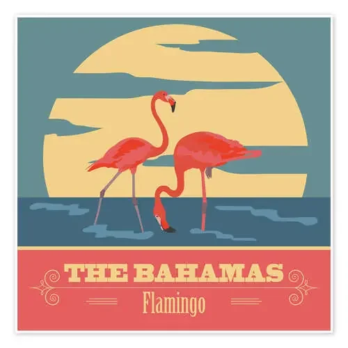 The Bahamas – Flamingo Editors Choice