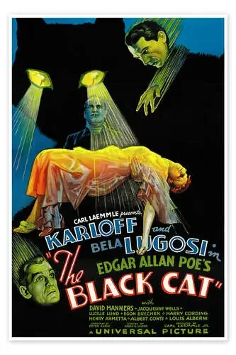 THE BLACK CAT, Boris Karloff, Harry Cording, Jacqueline Wells [Julie Bishop], Bela Lugosi, 1934 Everett Collection