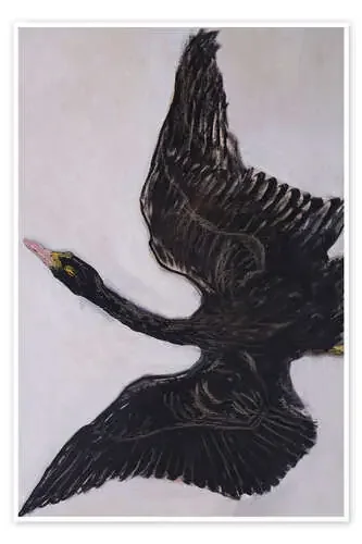 The Black Swan de Hilma af Klint Nook Vintage Archive