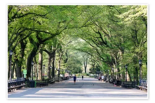 The Mall in spring, Central park, New York city, USA de Matteo Colombo