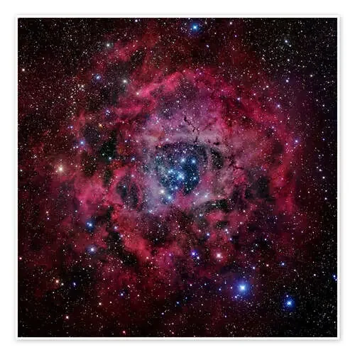 The Rosette Nebula de Robert Gendler Stocktrek Images