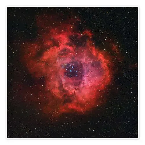 The Rosette Nebula de Rolf Geissinger Stocktrek Images