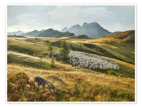 The Shepherd de Rainer Mirau