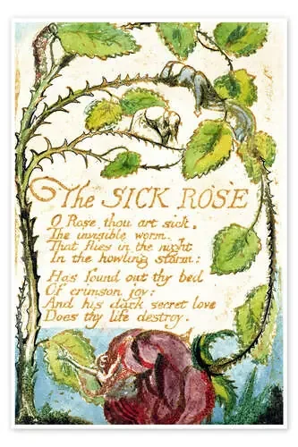 The Sick Rose de William Blake Bridgeman Images
