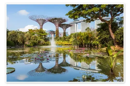 The Supertree grove of Singapore de Matteo Colombo