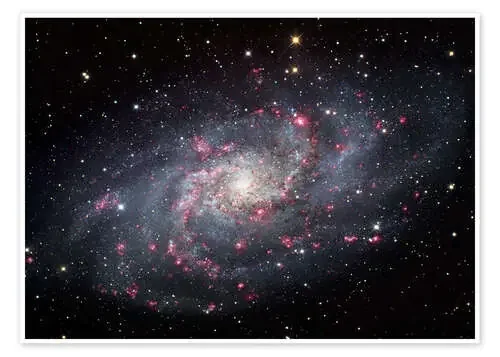 The Triangulum Galaxy de Robert Gendler Stocktrek Images