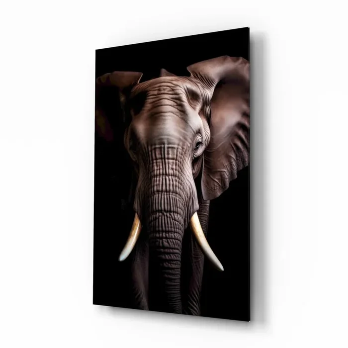 The Wise Look of the Elephant Glass Wall Art Designer Collection – 28.5 » X 18 «