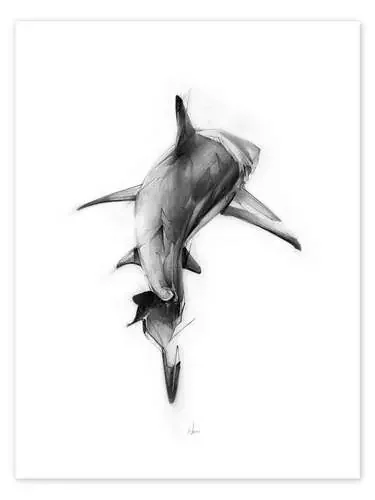 Tiburón II de Alexis Marcou