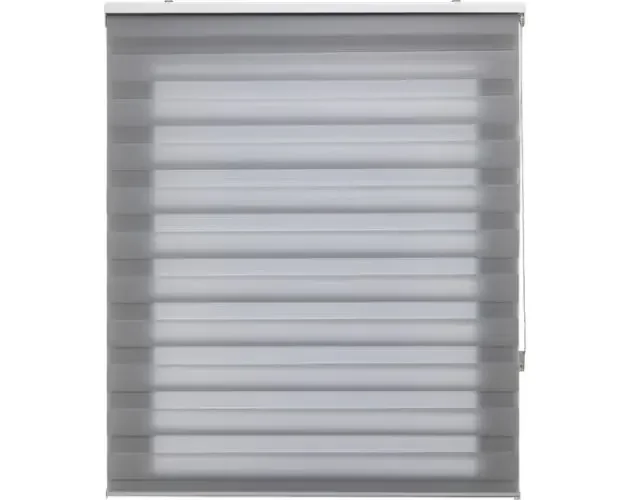 Top Qualità Blindecor lira | estor enrollable noche y día 90×180 gris plata | Brico Depôt
