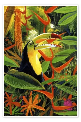 Toucan colours de Graeme Stevenson MGL Licensing