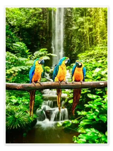 Tres loros y una cascada Editors Choice
