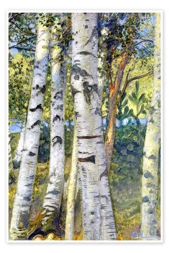 Troncos de abedul de Carl Larsson ARTOTHEK