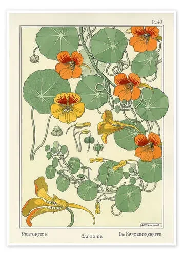 Tropaeolum de Maurice Pillard Verneuil Master Collection