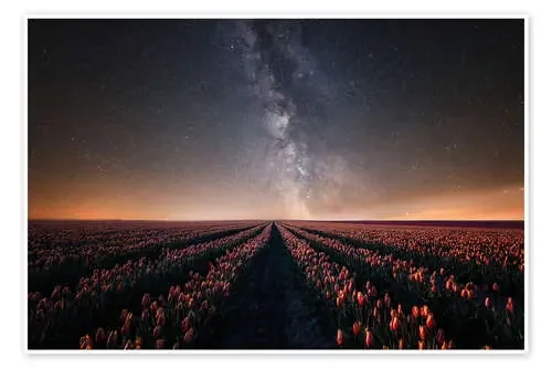 Tulip field and Milky Way de Oliver Henze