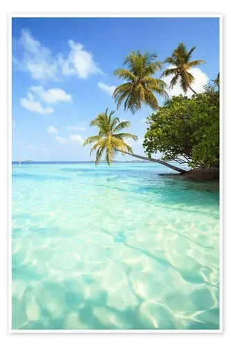 Turquoise sea and palm trees, Maldives de Matteo Colombo