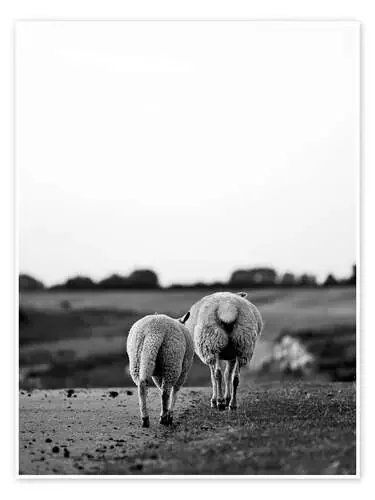 Two Sheep on a Journey de Art Couture
