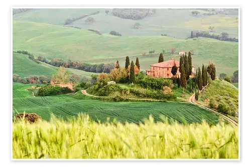 typical Tuscany landscape Editors Choice