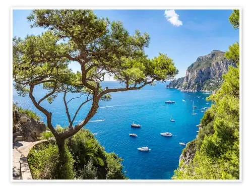 Un verano maravilloso en Capri Editors Choice