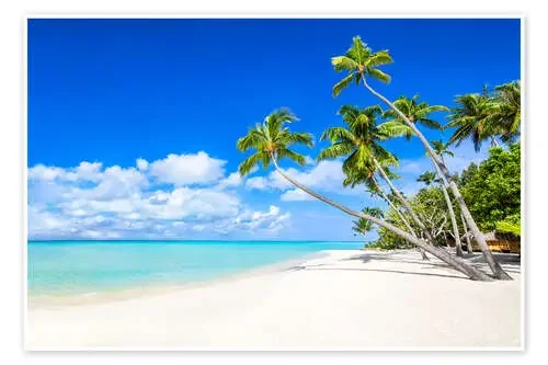 Vacaciones en una playa con palmeras y mar turquesa de Jan Christopher Becke