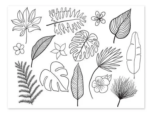 Variedad de hojas Editors Choice