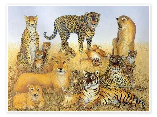 Varios gatos grandes de Pat Scott Bridgeman Images