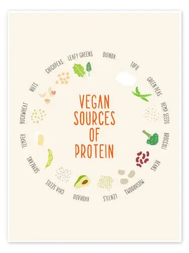 vegan sources of protein Editors Choice