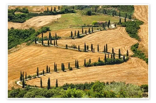 Verano en la Toscana Editors Choice