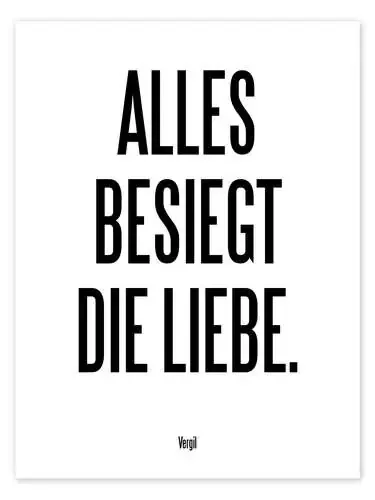 Vergil – Alles besiegt die Liebe de Typobox Editors Choice