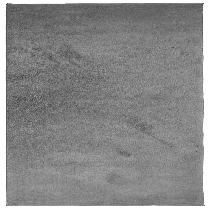 vidaXL Alfombra de pelo corto OVIEDO gris antracita 240×240 cm