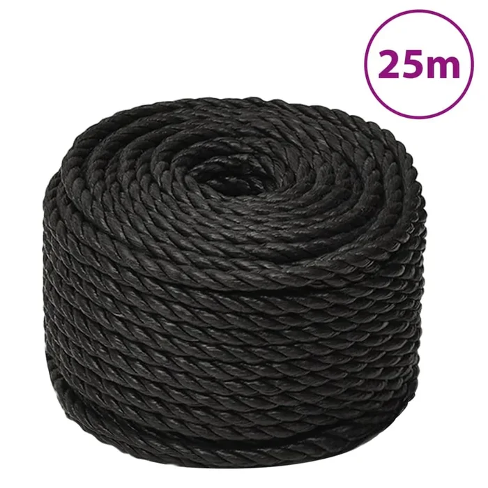vidaXL Cuerda de trabajo polipropileno negro 10 mm 25 m