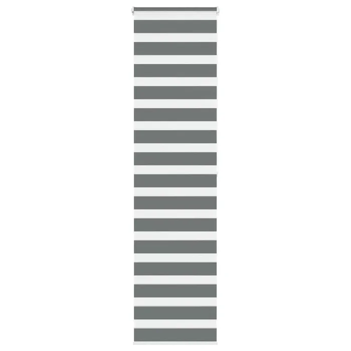 vidaXL Estor cebra gris oscuro 60x200cm tejido ancho 55,9 cm poliéster