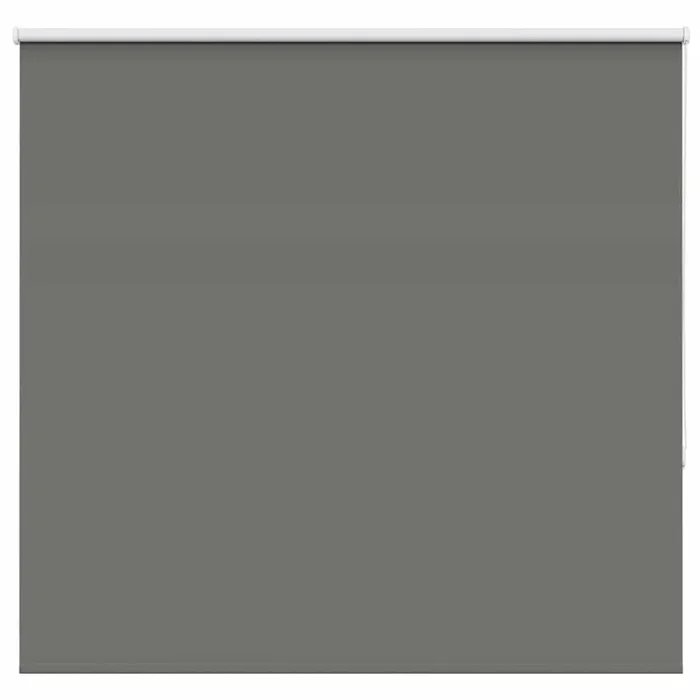 vidaXL Estor Enrollable Opaco gris 165×150 cm Tela Ancho 161,6 cm