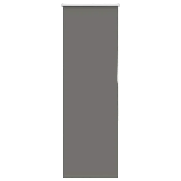vidaXL Estor Enrollable Opaco gris 55×175 cm Tela Ancho 50,7 cm
