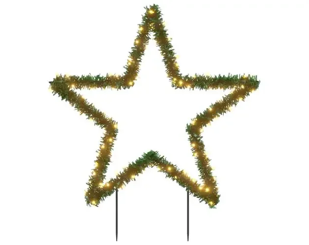 vidaXL estrella de luz decorativa navidad con estacas 115 LED 85 cm | Brico Depôt Subito Disponibile