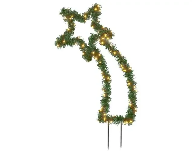 vidaXL estrella fugaz de luces navidad con estacas 115 LED 89 cm | Brico Depôt Ultimissimo Modello