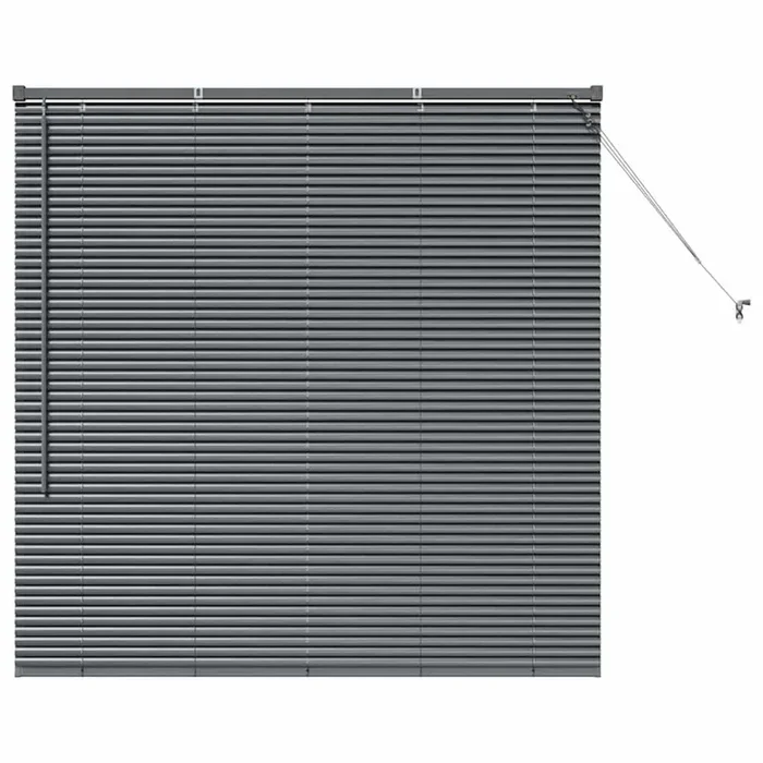 vidaXL Persiana para Ventana con cortinas Manual Gris oscuro Aluminio (58)